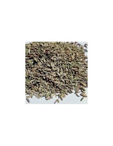 HINOJO SEMILLAS 100GR