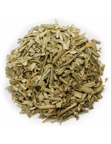 OLIVO HOJAS 100GR