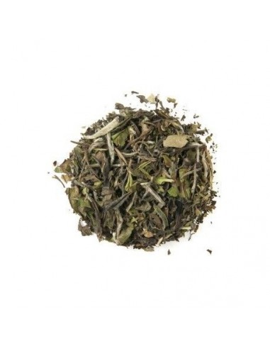 TE BLANCO 30GR