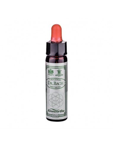FLS  BACH HOLLY ACEBO 10ML PLANTIS