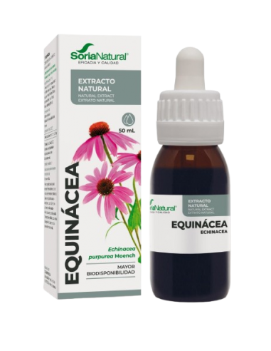 EXTRACTO EQUINACEA SORIA