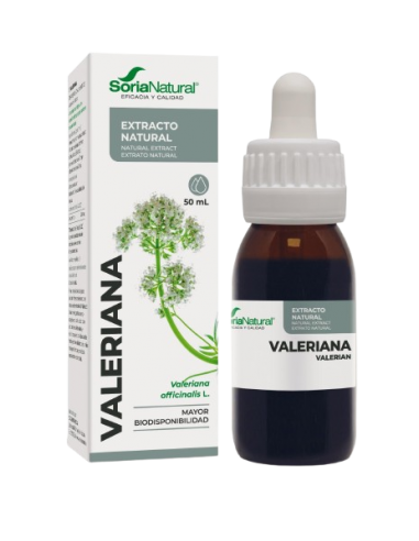 EXTRACTO VALERIANA XXI SORIA