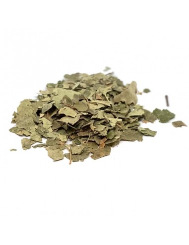 ABEDUL HOJAS 100GR