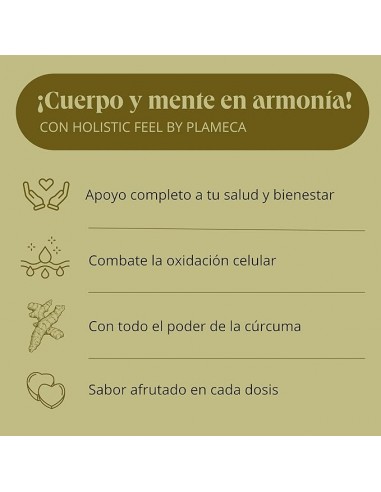 HOLISTIC FEEL 60 GUMMIES  PLAMECA