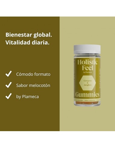 HOLISTIC FEEL 60 GUMMIES  PLAMECA