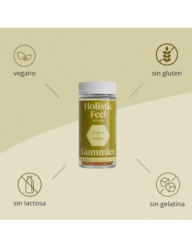 HOLISTIC FEEL 60 GUMMIES  PLAMECA