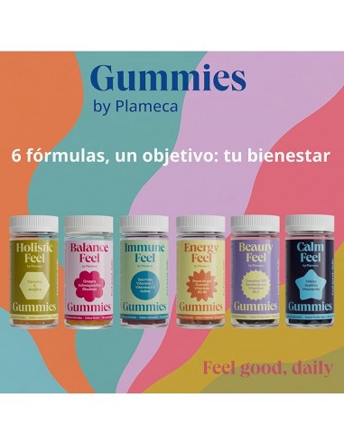 HOLISTIC FEEL 60 GUMMIES  PLAMECA