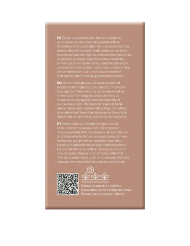 INFUSION NATUSOR 15 DIABESIL SORIA