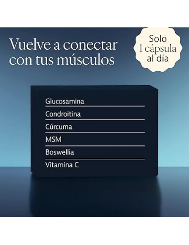 CURARTI GLUCOSAMINA 60 CAP PLAMECA