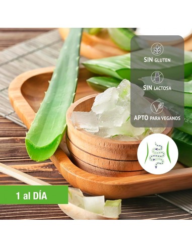 LAXALOE PROTECT 60 CAPSULAS SANTIVERI