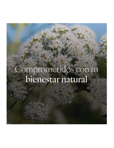 CAPSUDIET VALERIANA PLAMECA