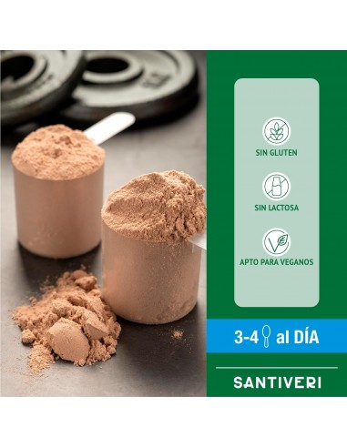 PROTEIN 90 INSTAN CHOCOLATE SANTIVERI