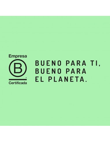 MAYONEGRAN SIN HUEVO VEGANA BIO 245GR...
