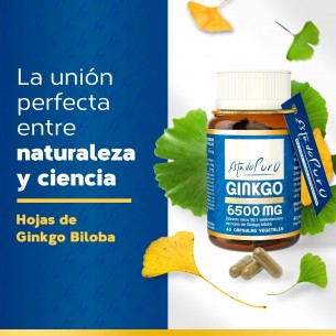 GINKGO 6500MG 40CAP PURO... 2