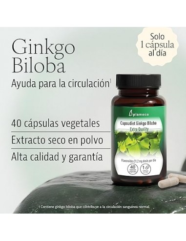 CAPSUDIET GINKGO BILOBA 40 CAPS PLAMECA