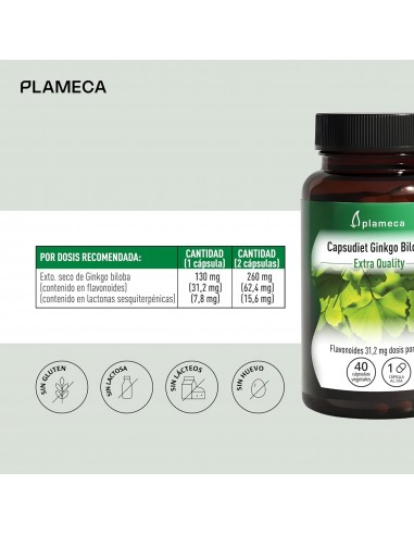 CAPSUDIET GINKGO BILOBA 40 CAPS PLAMECA