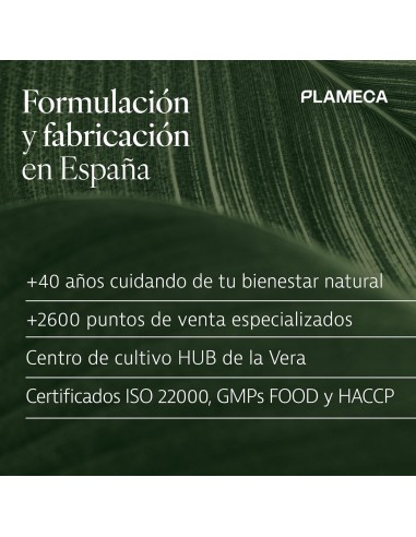 CAPSUDIET GINKGO BILOBA 40 CAPS PLAMECA