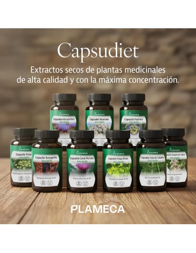 CAPSUDIET GINKGO BILOBA 40 CAPS PLAMECA