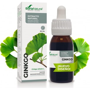 EXTRACTO GINKGO BILOBA SORIA 2