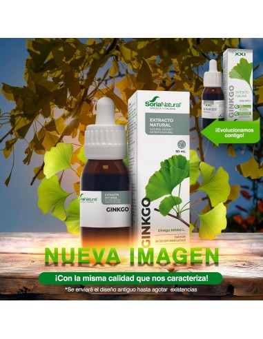 EXTRACTO GINKGO BILOBA SORIA