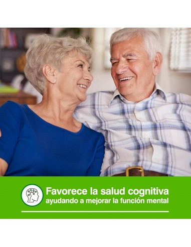 EXTRACTO GINKGO BILOBA SORIA