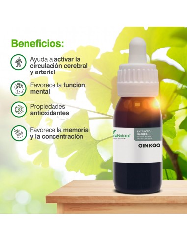 EXTRACTO GINKGO BILOBA SORIA