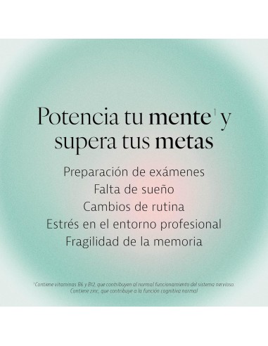 MASTER MEMORY 30 CAPS PLAMECA