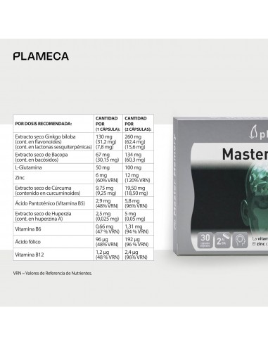 MASTER MEMORY 30 CAPS PLAMECA