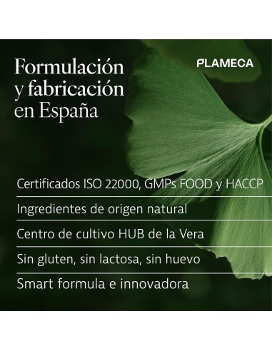 MASTER MEMORY 30 CAPS PLAMECA