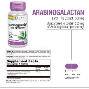 ARABINOGALACTAN-AG... 2