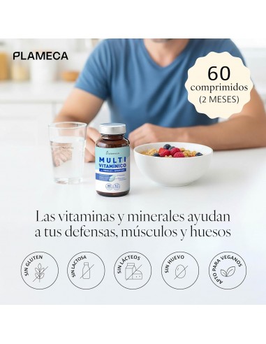 MULTIVITAMINICO 60 COMP  PLAMECA