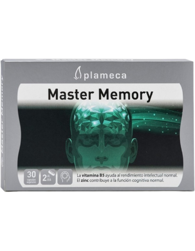 MASTER MEMORY 30 CAPS PLAMECA