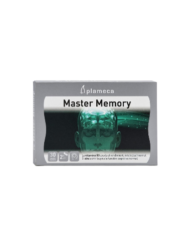 MASTER MEMORY 30 CAPS PLAMECA