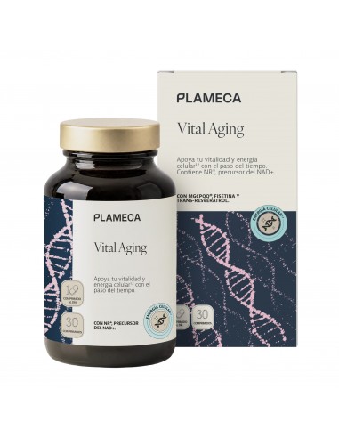 VITAL AGING PLAMECA