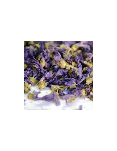 MALVA FLOR REAL 40GR