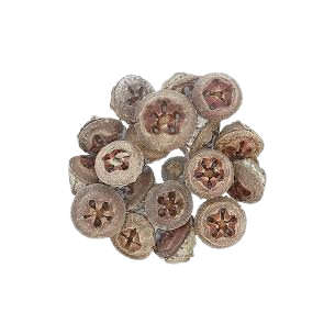 EUCALIPTO BAYA 100GR