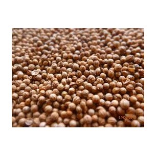 CORIANDROS 100GR