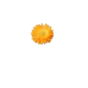 CALENDULAS 100GR