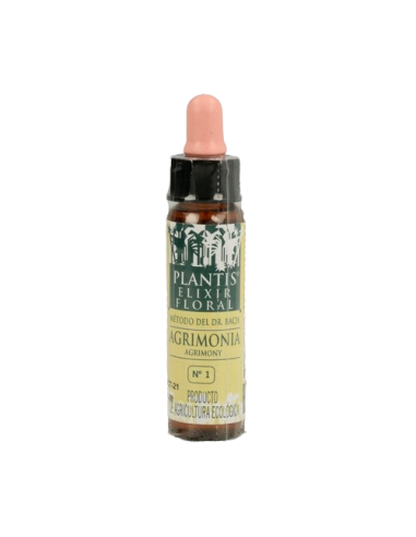 FLS  BACH HOLLY ACEBO 10ML PLANTIS
