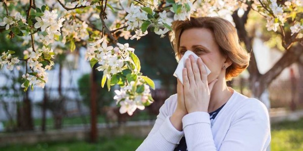 Alergia estacional: qué es, por qué ocurre y qué activos naturales se están estudiando (Perilla, ovomucoides y micronutrientes)